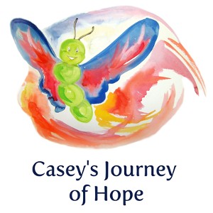 Canada-Book-Awards-Winner-Arden-McGregor-Meghan-Irvine-Caseys-Journey-of-Hope