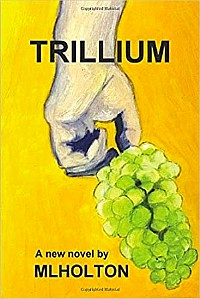 https://canadabookaward.com/wp-content/uploads/2019/01/canada-book-awards-winner-m-l-holton-trillium-1.jpg