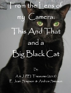 https://canadabookaward.com/wp-content/uploads/2020/07/canada-book-awards-winner-e-jean-simpson-from-the-lens-of-my-camera-this-and-that-and-a-big-black-cat-1.jpg