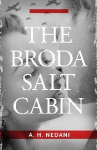 https://canadabookaward.com/wp-content/uploads/2021/01/canada-book-awards-winner-a-h-nedani-the-broda-salt-cabin.jpg